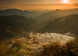 云南元阳梯田风景图片