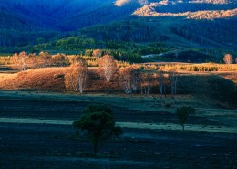 河北坝上草原风景图片大全