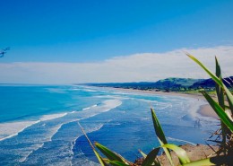 新西兰奥克兰鸟岛黑沙滩风景图片