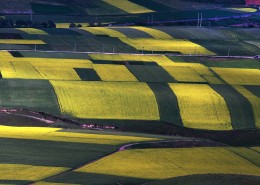 青海祁连山风景图片大全