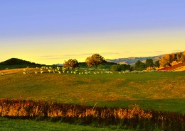 坝上田园风光图片