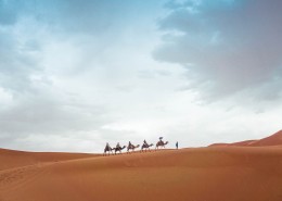 驮着人的骆驼图片