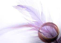 轻盈柔软的羽毛图片