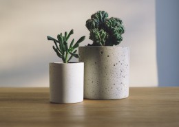 精致的盆栽图片