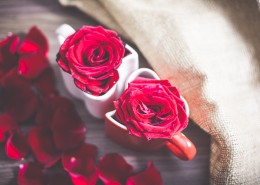 鲜艳的玫瑰图片