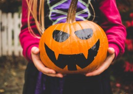 形态各异的南瓜图片