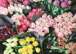 唯美靓丽的鲜花和花束图片