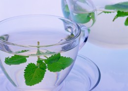 花草茶保健茶的原材料图片