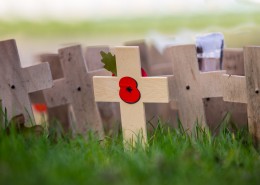 十字上的罂粟花图片