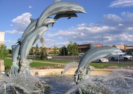 跃出水面的海豚图片