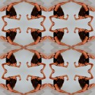 肢体柔韧的体操运动员图片大全