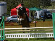 骑马跨栏比赛图片大全