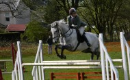 骑马跨栏比赛图片大全