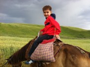 人与马友好图片大全