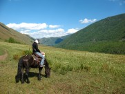 人与马友好图片大全