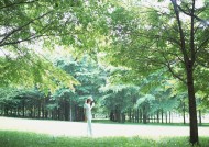 女性和绿色森林图片大全