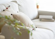 悠闲的家庭生活图片