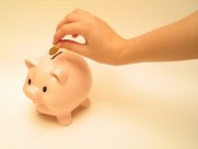 手部动作特写图片大全