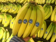 黄色的香蕉图片大全