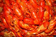 鲜美浓香的小龙虾图片