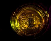 健康营养的橄榄油图片