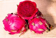 好吃的红心火龙果图片