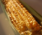 童年记忆烤玉米图片