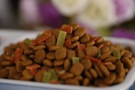 狗狗的美味食物狗粮图片大全