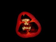 蔬菜水果的切面图片