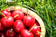 红色诱人樱桃图片