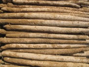 健康营养山药图片