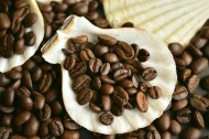 醇香的咖啡豆图片大全