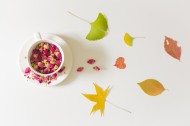 秋季养生花茶图片