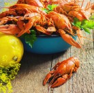 美味的龙虾图片大全