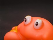 儿童浴室玩具图片大全