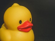 儿童浴室玩具图片大全