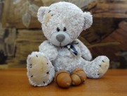 毛绒绒的玩具熊图片大全