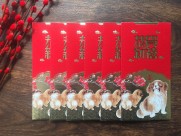 过年红包图片大全