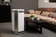 白色家用空气净化器图片