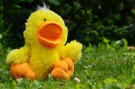 有趣的鸭子形状玩具图片