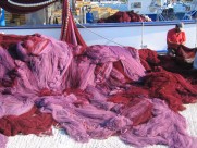 凌乱堆积的渔网图片