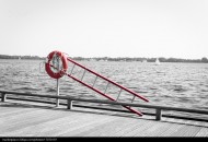 好看的游泳圈图片