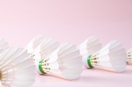 白色羽毛球图片