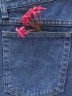 牛仔裤兜特写图片大全