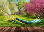 阳光下的吊床图片