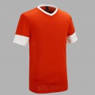 T恤展示图片大全