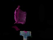 气球破裂至完爆瞬间图片