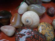 杂乱的鹅卵石图片