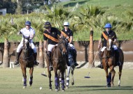 紧张激烈的马球运动图片