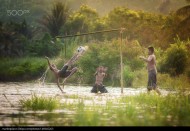 踢足球的男孩们图片